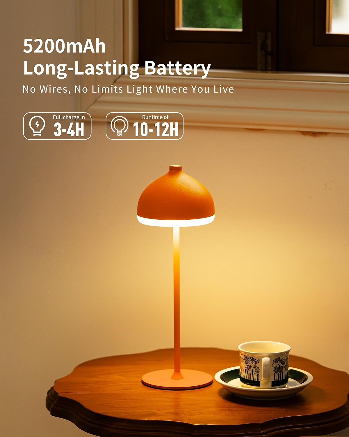 Cordless Table Lamp VIOA TL13