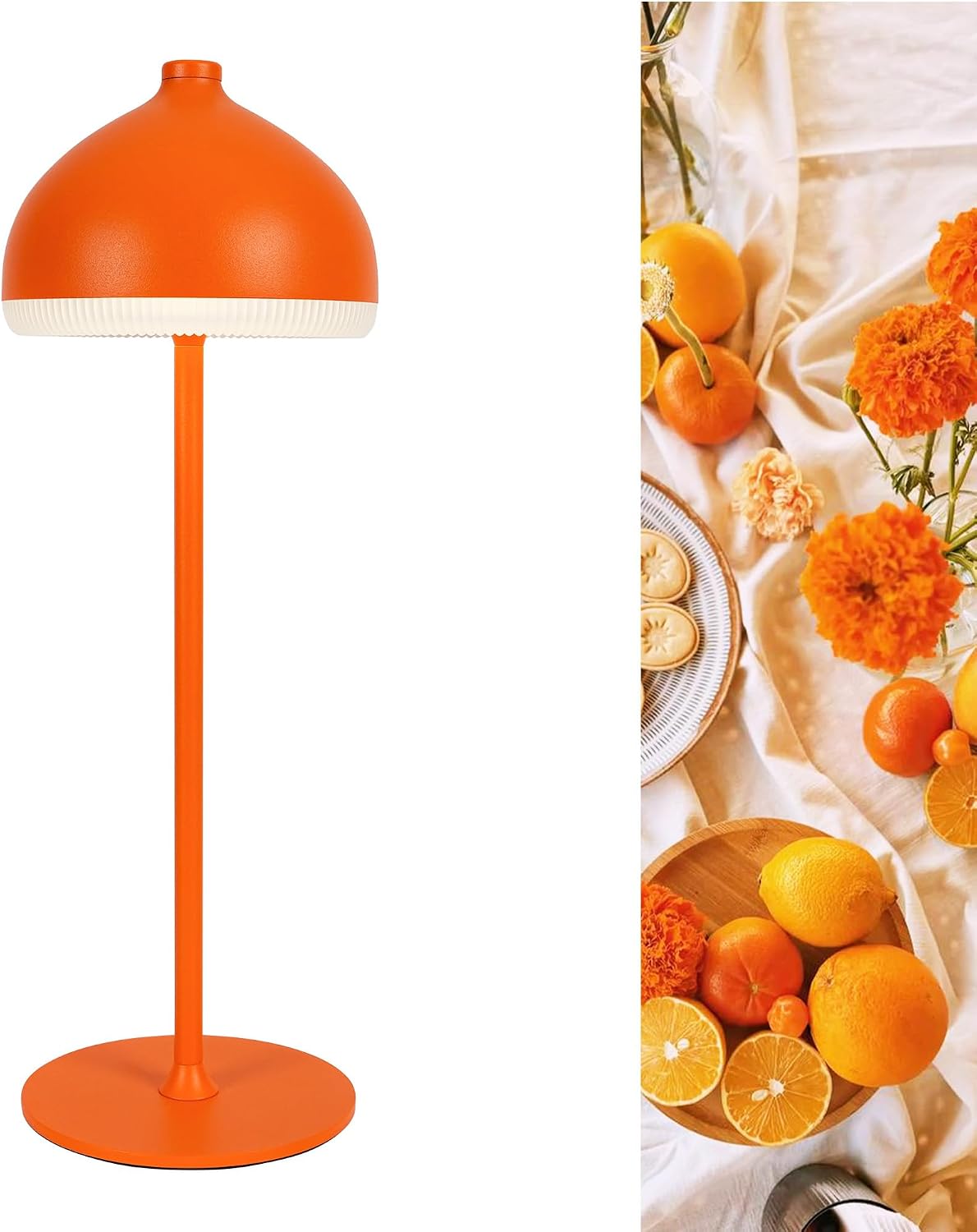 Cordless Table Lamp VIOA TL13