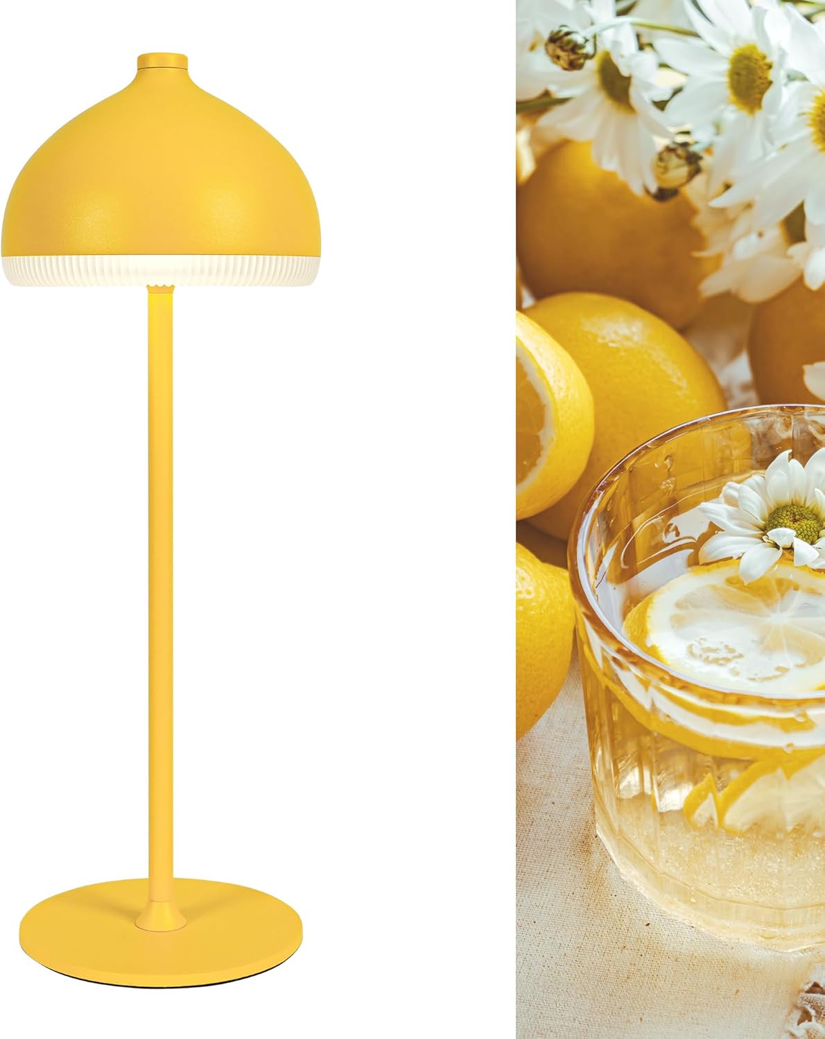 Cordless Table Lamp VIOA TL13
