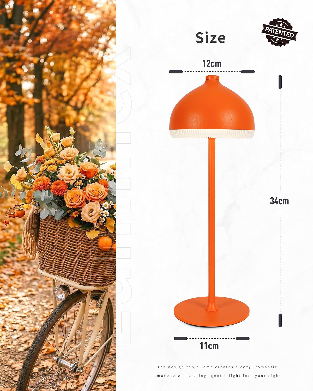 Cordless Table Lamp VIOA TL13