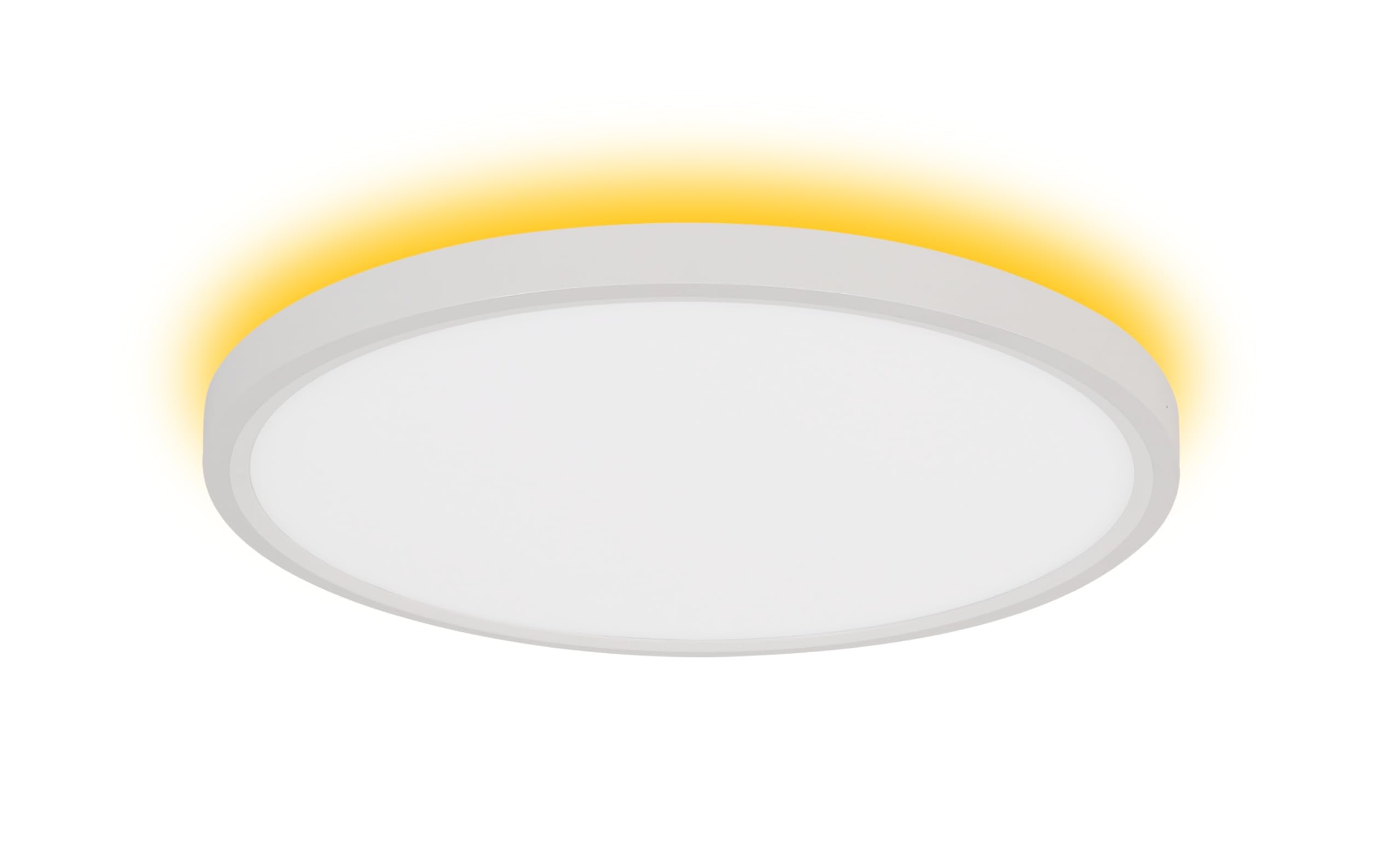 12" Ultra-Thin Dimmable Ceiling Light with Remote Control