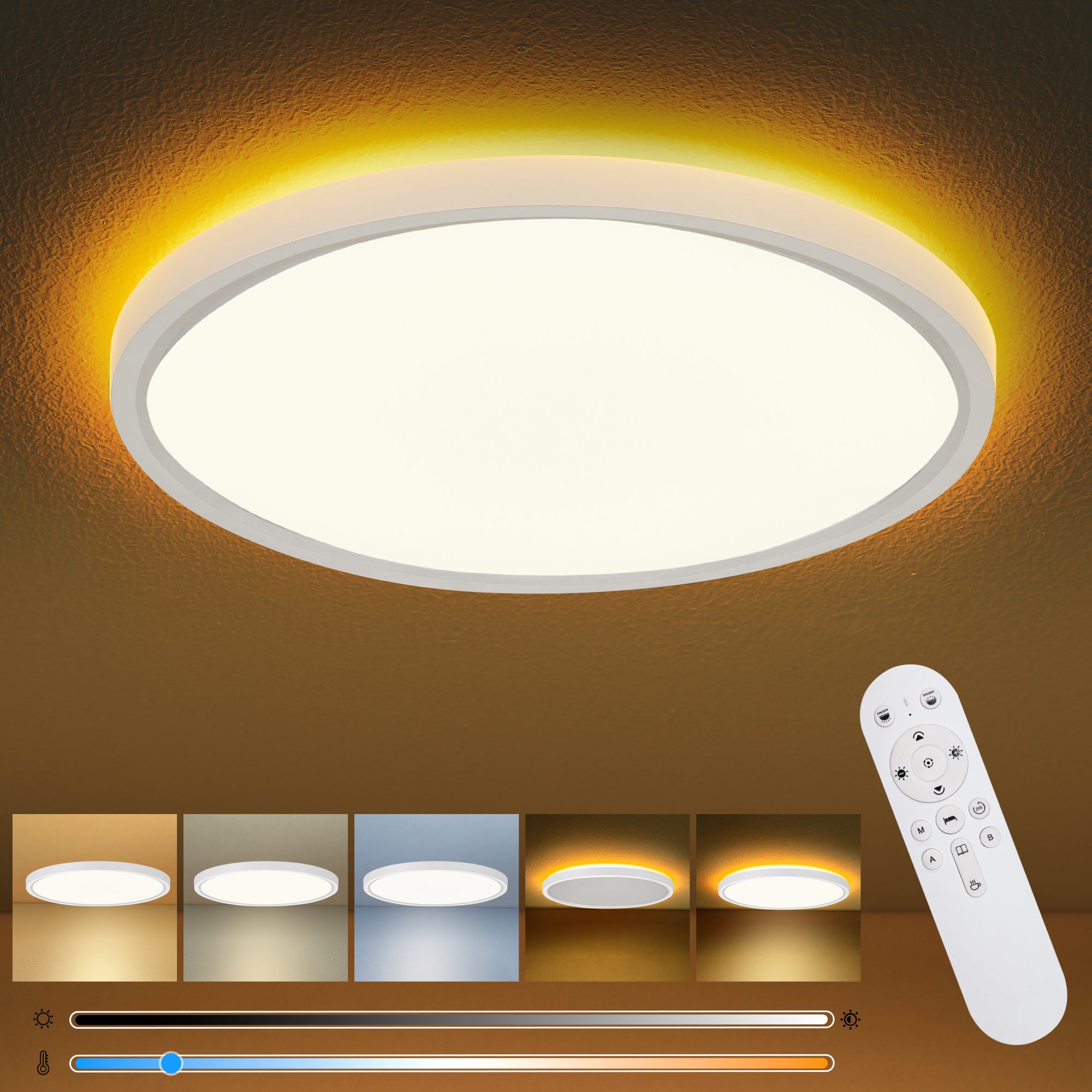 12" Ultra-Thin Dimmable Ceiling Light with Remote Control