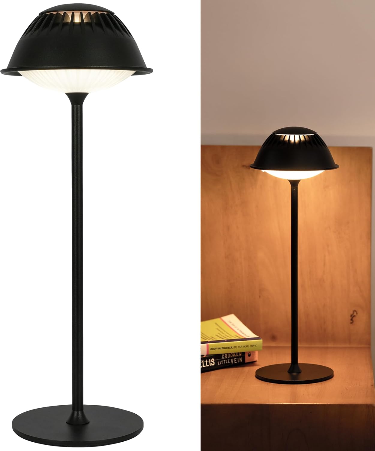 Rechargeable LED Table Lamp VIOA TL14
