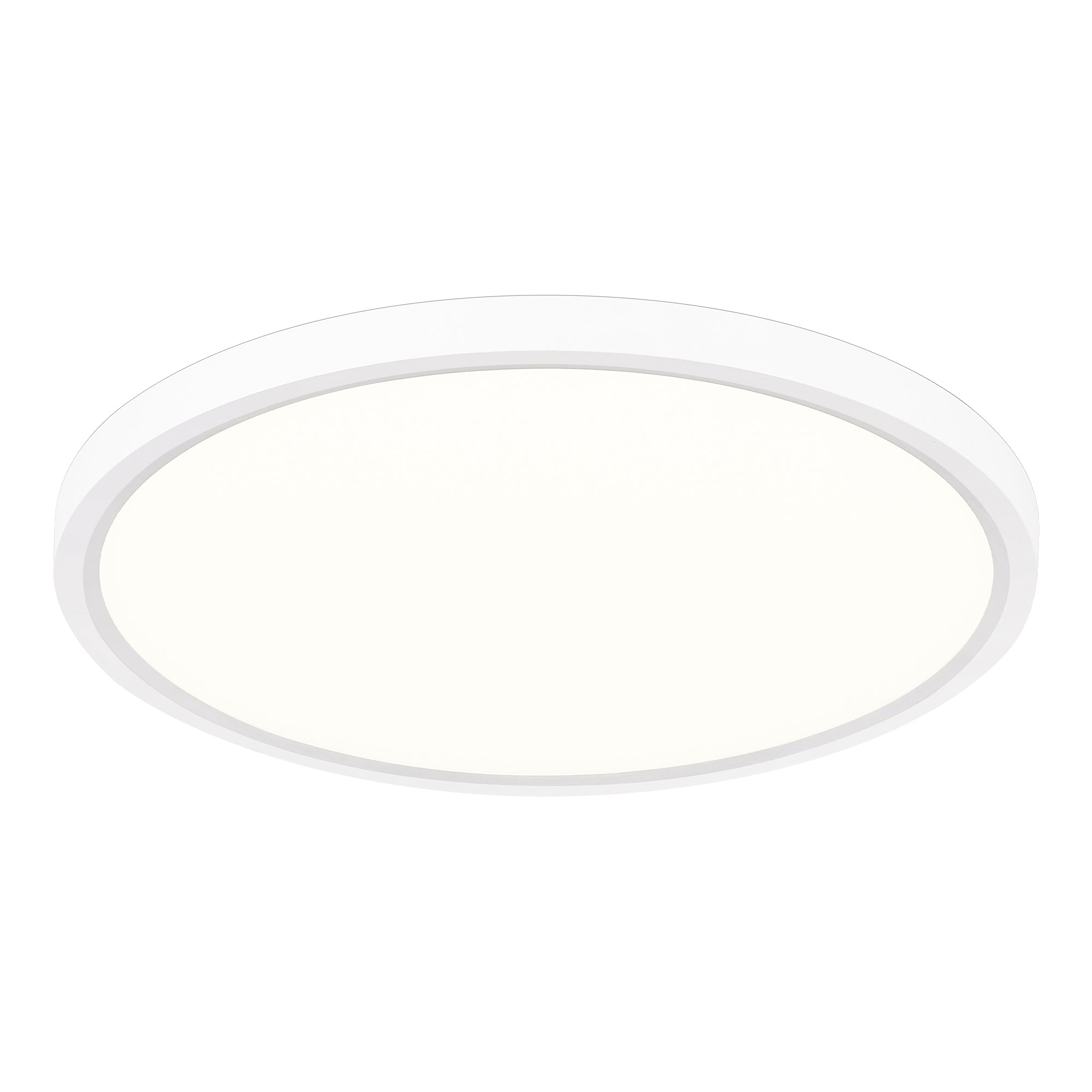 12" Ultra-Thin Dimmable Ceiling Light with Remote Control