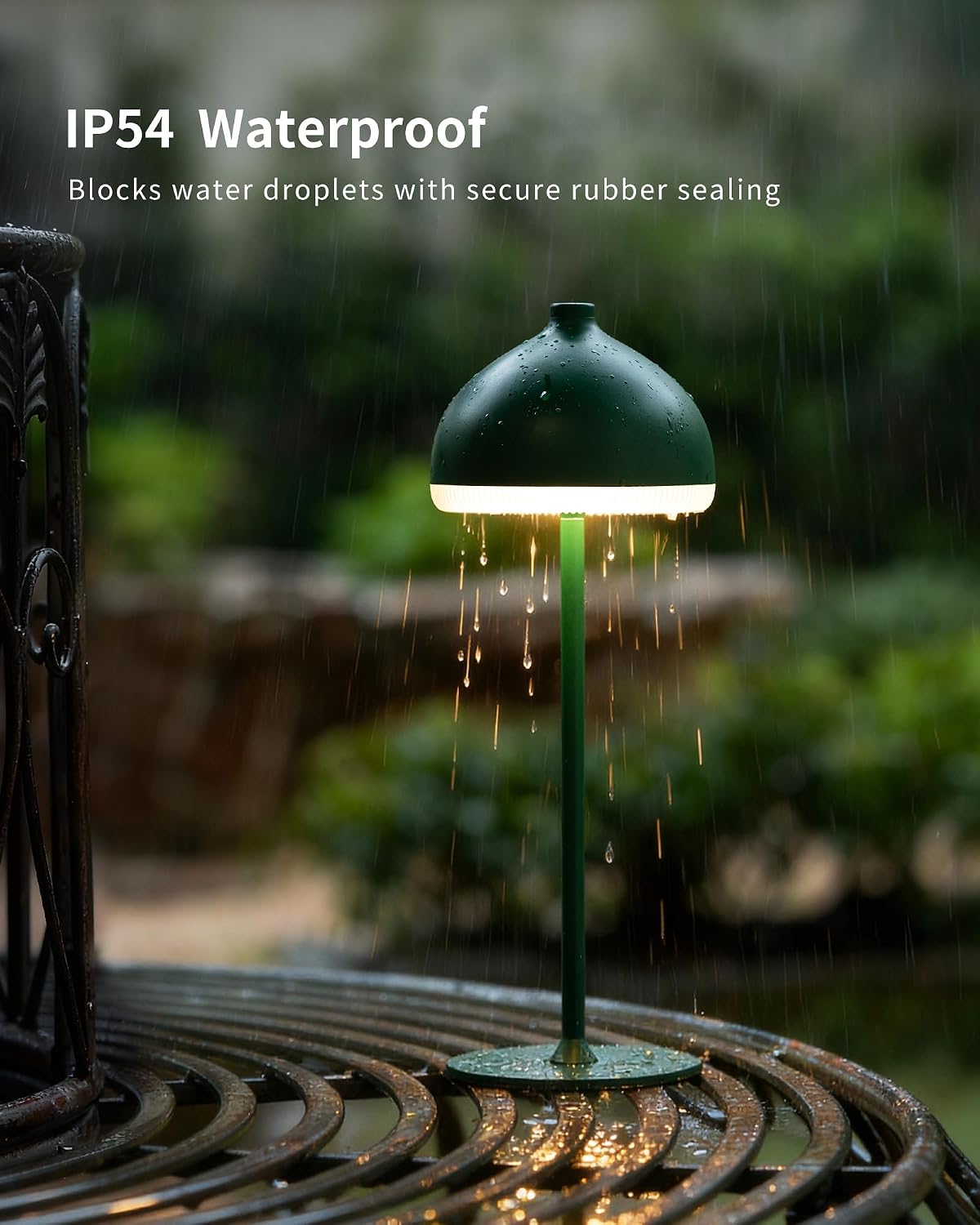 Rechargeable  Cordless Table Lamp VIOA TL13