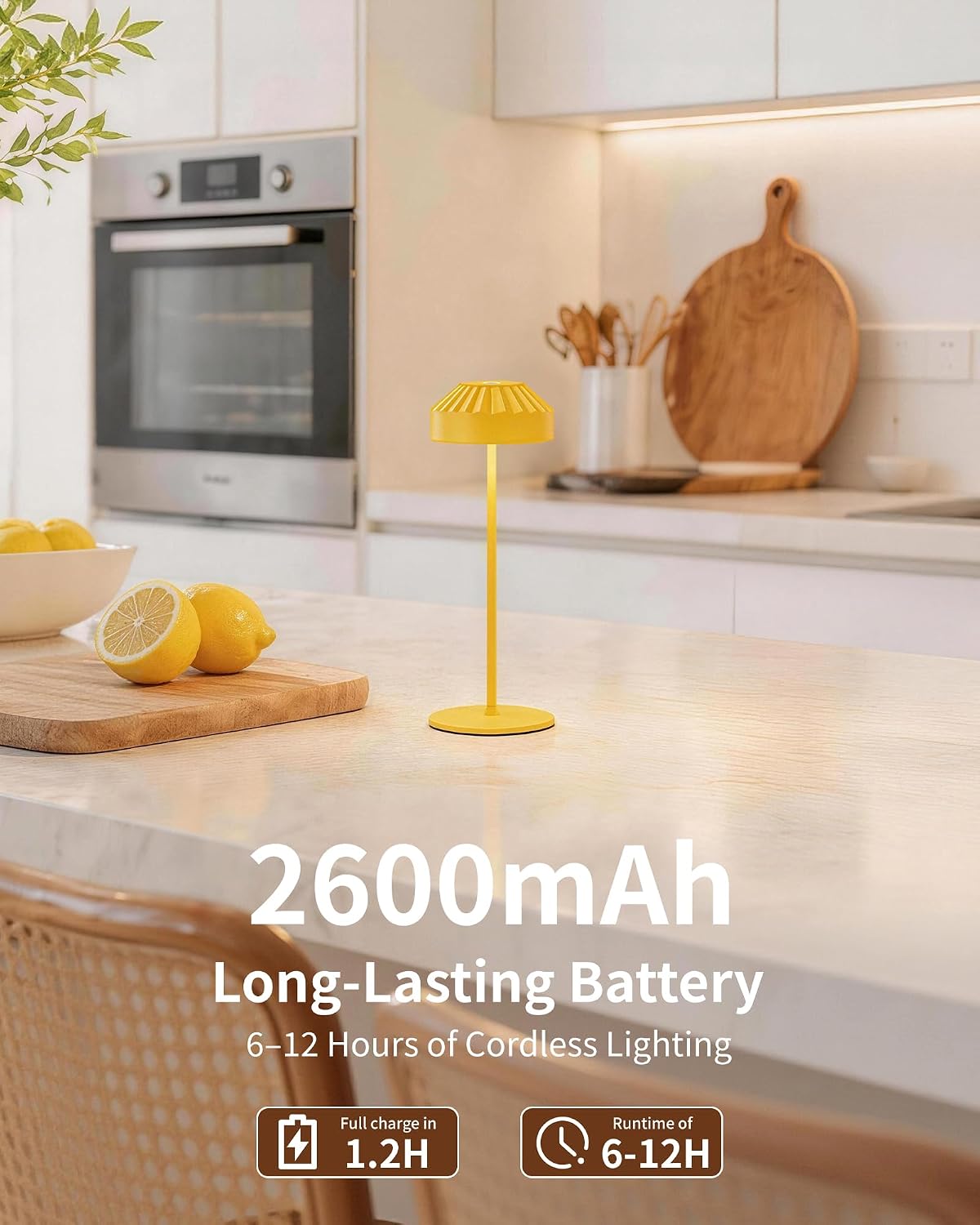 Mini Cordless LED Table Lamps VIOA TL16