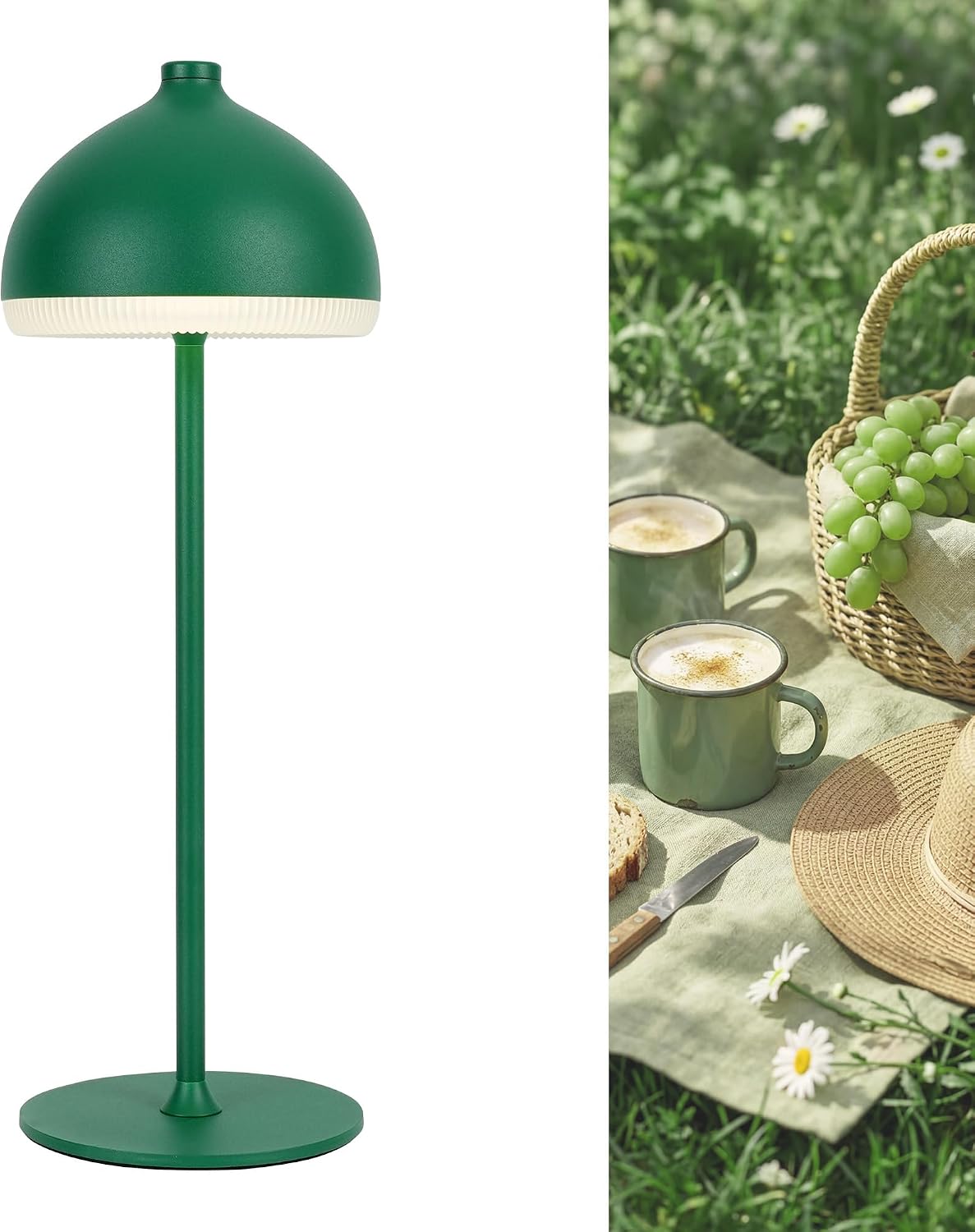 Rechargeable  Cordless Table Lamp VIOA TL13