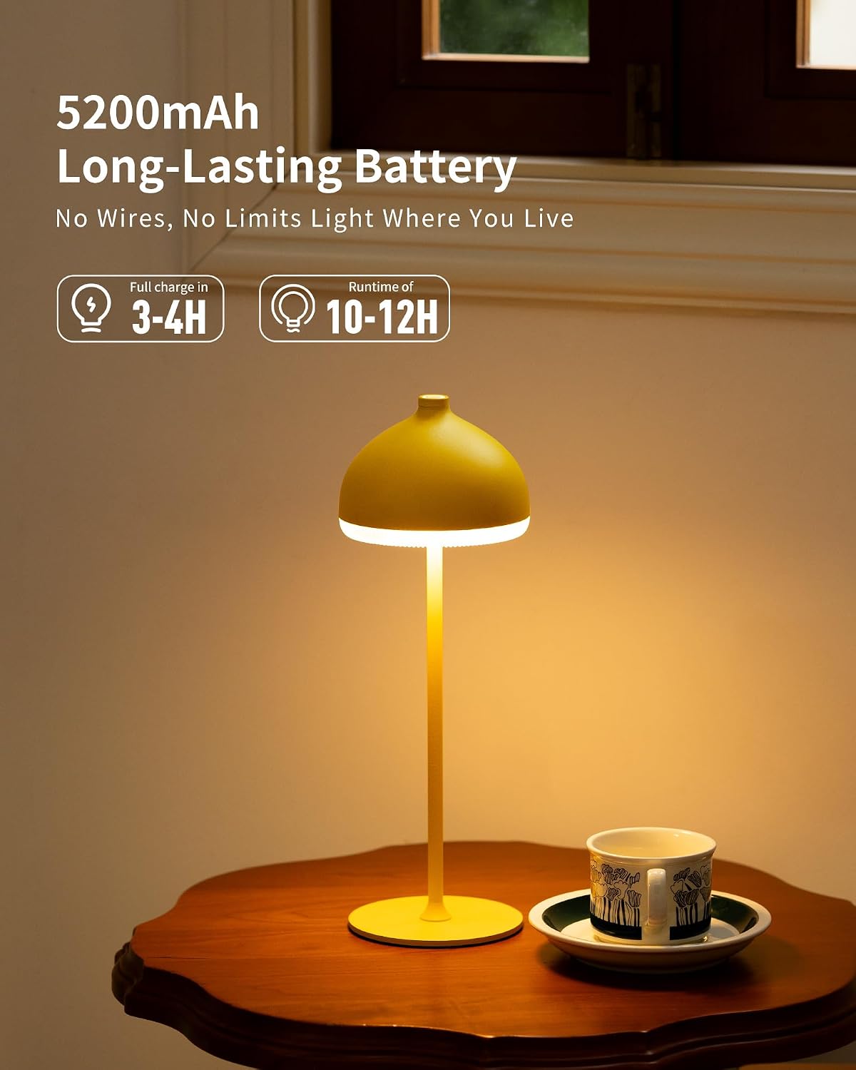 Cordless Table Lamp VIOA TL13