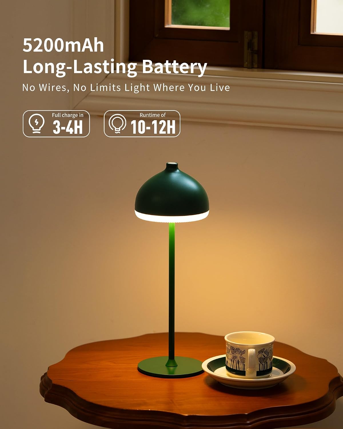Rechargeable  Cordless Table Lamp VIOA TL13