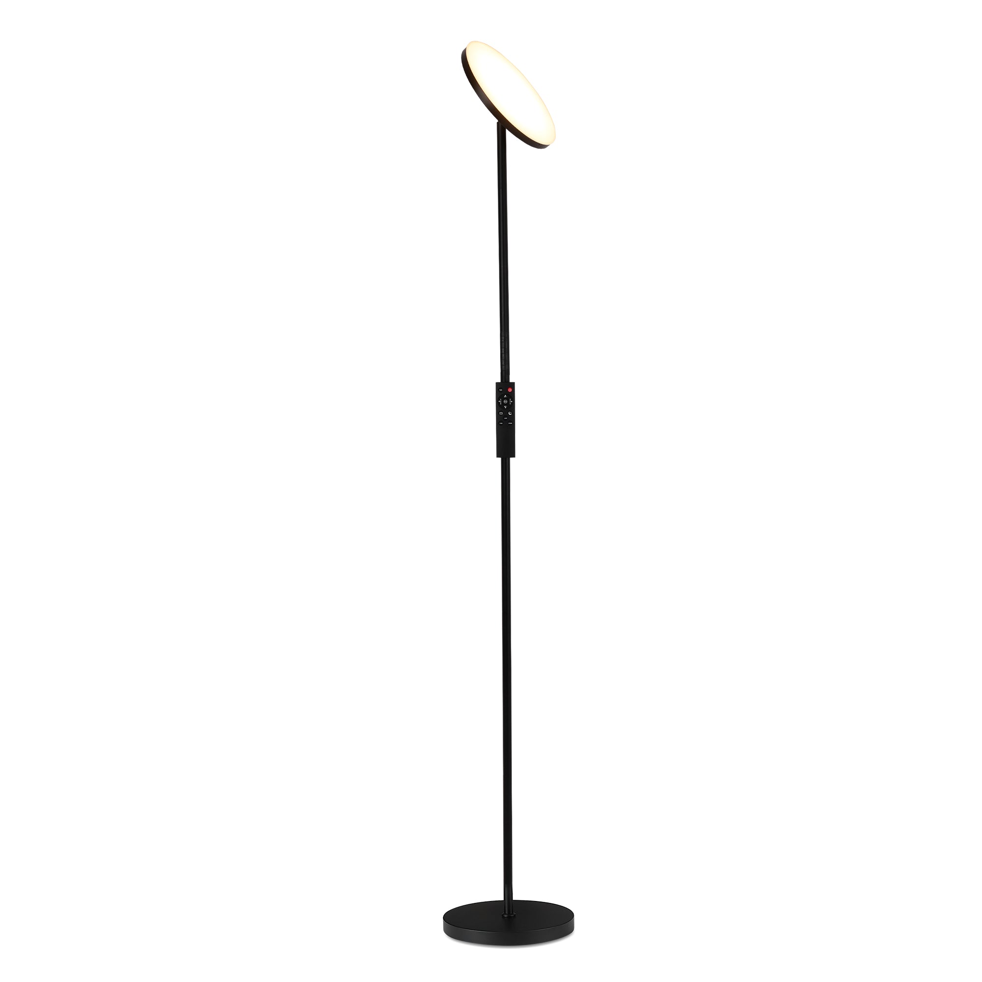 LED Dimming Floor Lamp Ceiling Floodlight AVEN FL07