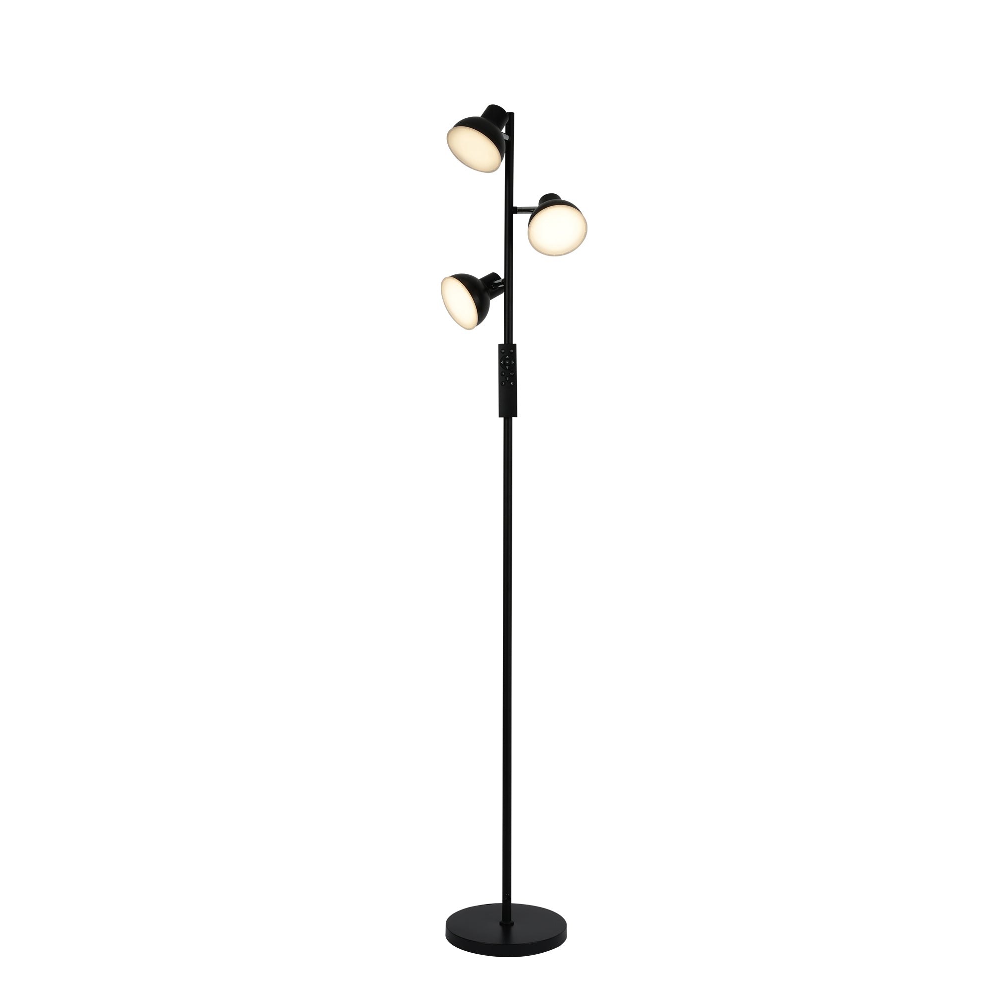 Floor Lamp Living Room AVEN FL08